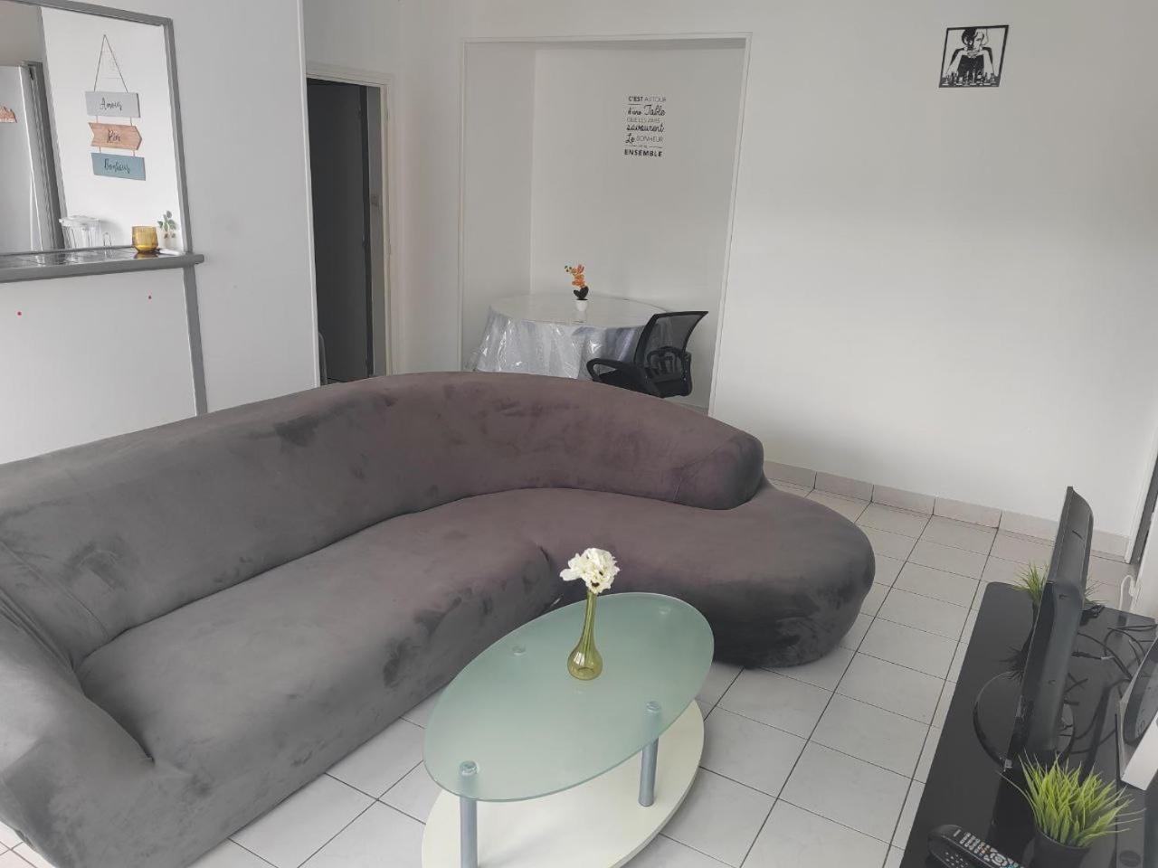 Une Chambre Dans Appartement Partage, Grenoble A 8 Min Du Centre-Ville Buitenkant foto